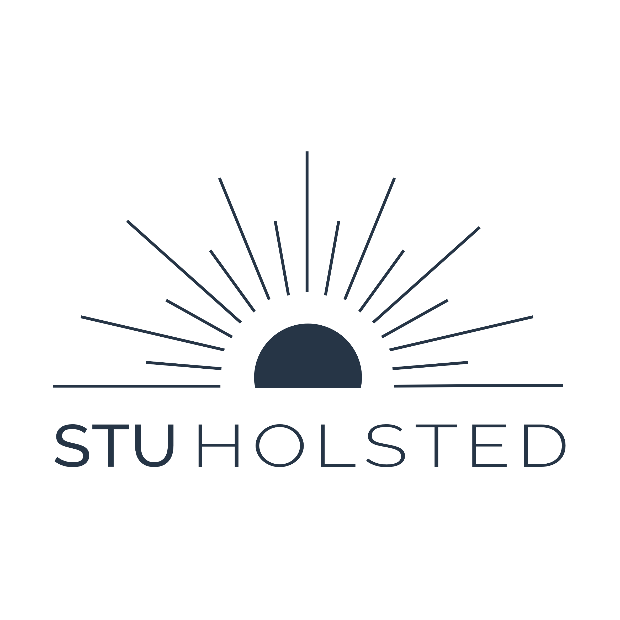 STU Holsted